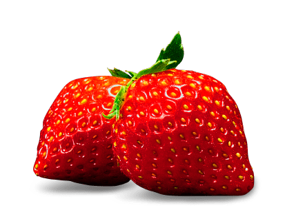 the king of strawberry
