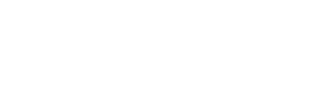 ここに注目!