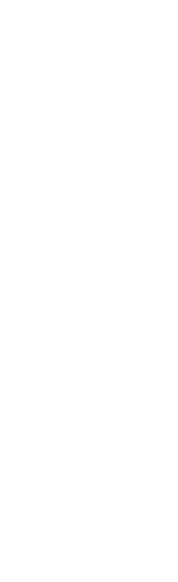 東の代表