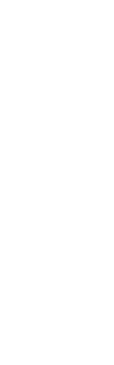西の代表