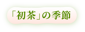 「初茶」の季節