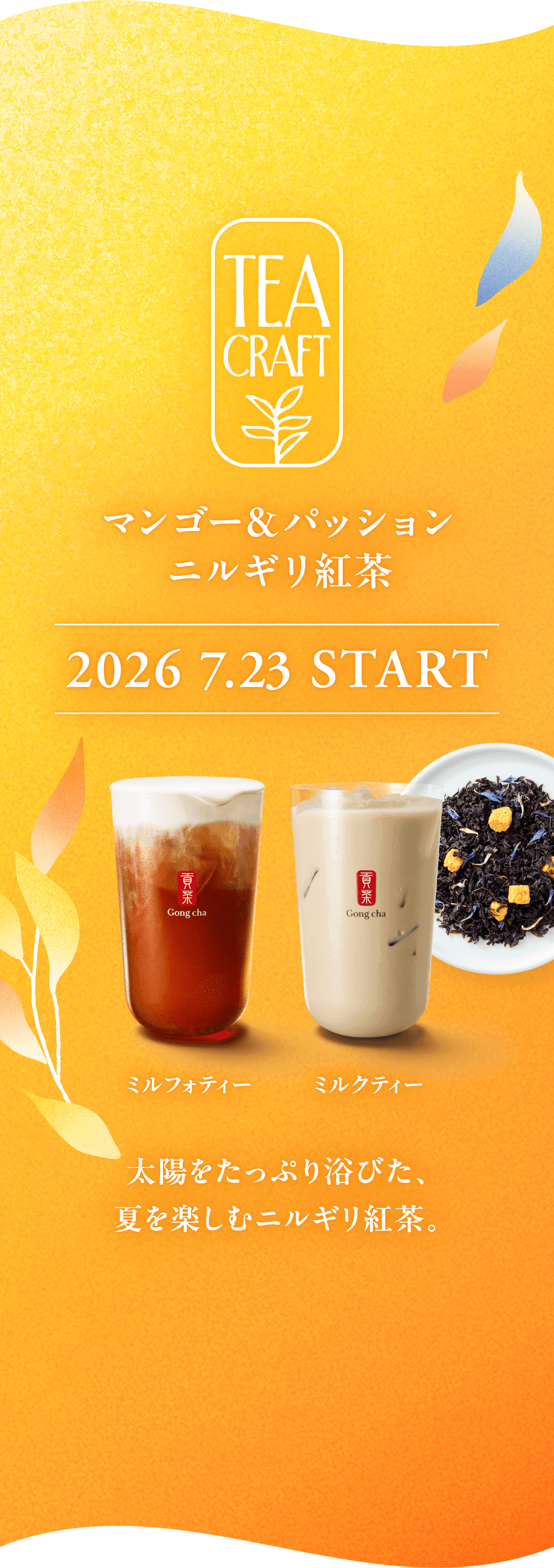 TEA CRAFT マンゴー&パッション ニルギリ紅茶 2026 7.23 START ミルフォティー ミルクティー 太陽をたっぷり浴びた、夏を楽しむニルギリ紅茶。