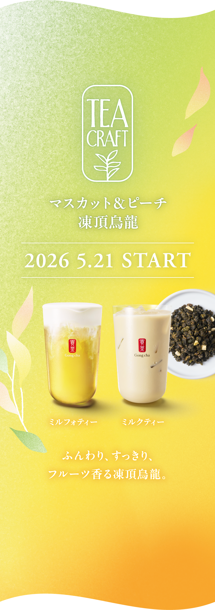 TEA CRAFT マスカット＆ピーチ 凍頂烏龍 2026 5.21 START ミルフォティー ミルクティー ふんわり、すっきり、フルーツ香る凍頂烏龍。