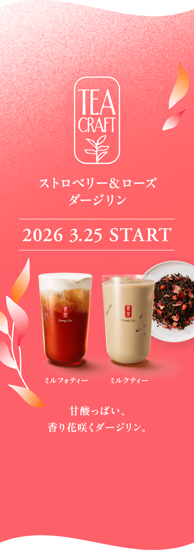 TEA CRAFT ストロベリー＆ローズダージリン 2026 3.25 START ミルフォティー ミルクティー 甘酸っぱい、香り花咲くダージリン。