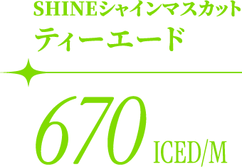 SHINEシャインマスカット ティーエード 670 ICED/M