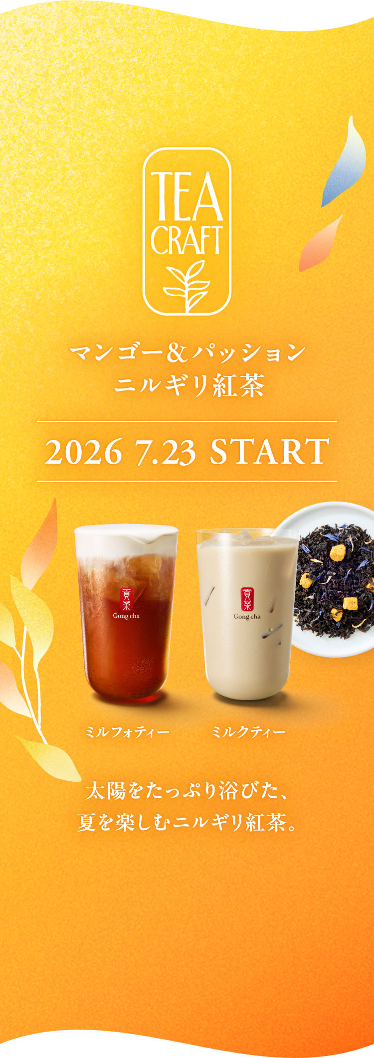 TEA CRAFT マンゴー&パッション ニルギリ紅茶 2026 7.23 START ミルフォティー ミルクティー 太陽をたっぷり浴びた、夏を楽しむニルギリ紅茶。